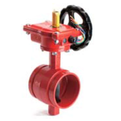 Butterfly valve with tamper switch grooved end